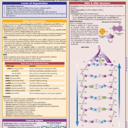 Molecular Biology