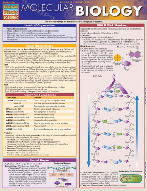 Molecular Biology