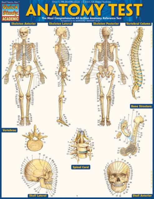 Anatomy Test Reference Guide