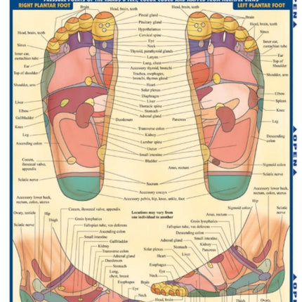 Reflexology