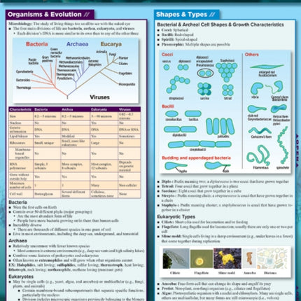 Microbiology