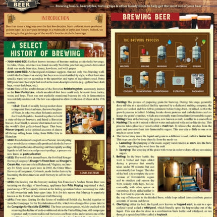 Beer - Craft & Culture: QuickStudy Laminated Reference Guide to Brewing, Ingredients, Styles & More