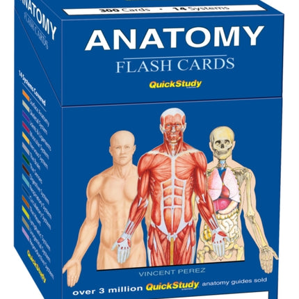 Anatomy Flash Cards