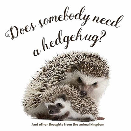 Does Somebody Need a Hedgehug