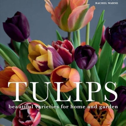 Tulips: Beautiful Varieties for Home and Garden