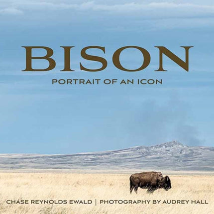 Bison Portrait of an Icon