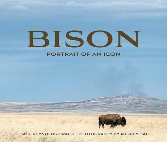 Bison Portrait of an Icon