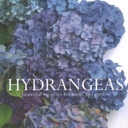 Hydrangeas