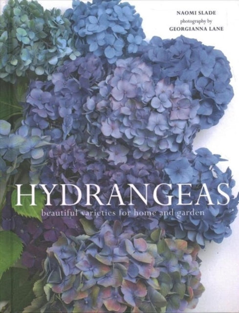 Hydrangeas