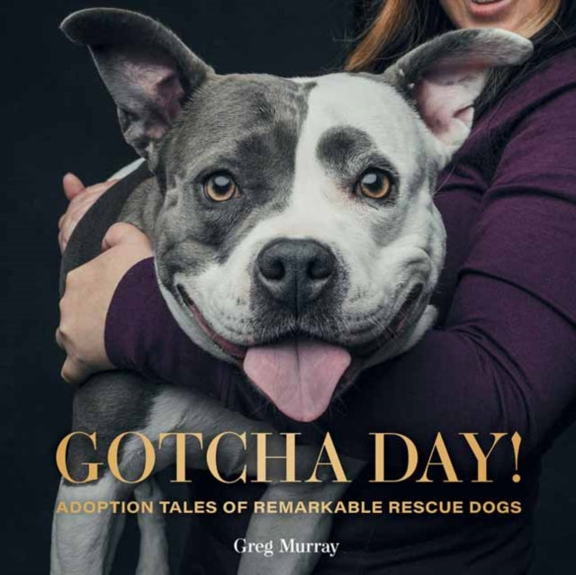 Gotcha Day: Adoption Tales of Remarkable Rescue Dogs