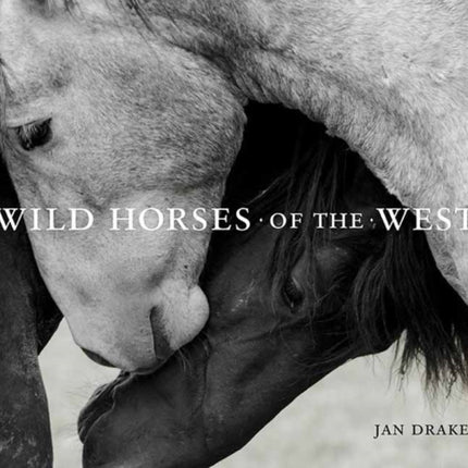 Wild Horses of the West