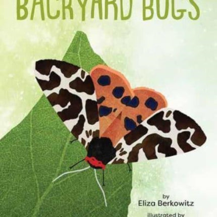 A Kid's Guide to Backyard Bugs