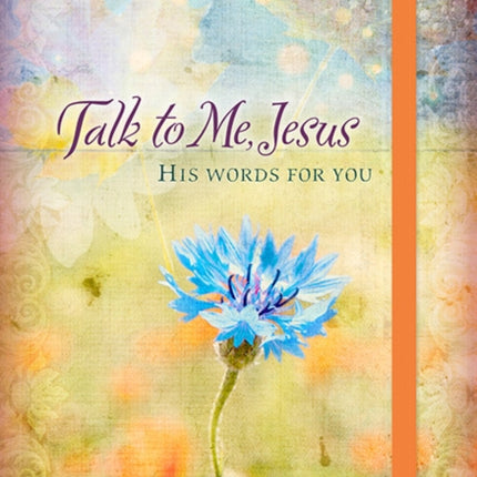 365 Daily Devotions: Talk to Me Jesus: 365 Daily Meditations from the Heart of God