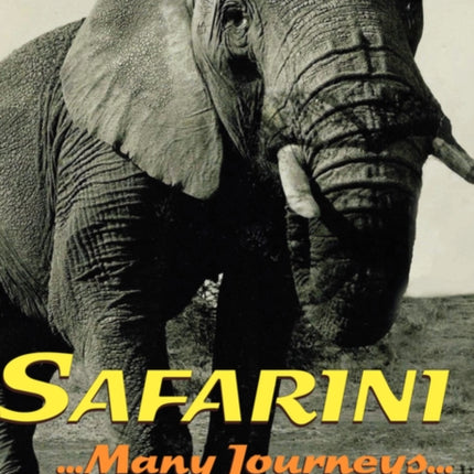 Safarini