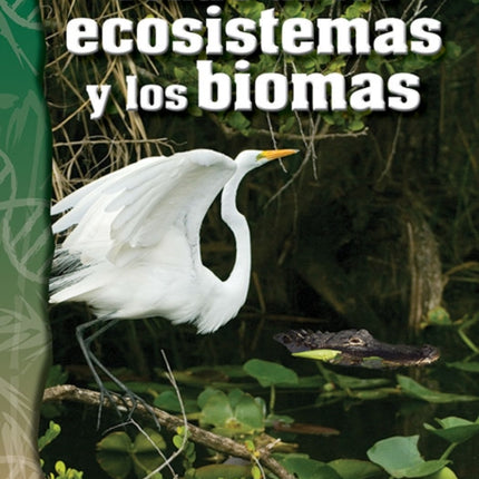 Dentro de los ecosistemas y los biomas