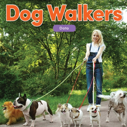 On the Job Dog Walkers