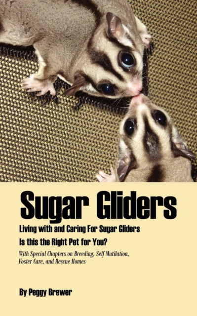 Sugar Gliders Living with and Caring For Sugar Gliders Is this the Right Pet for You