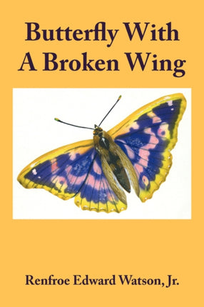 Butterfly With A Broken Wing