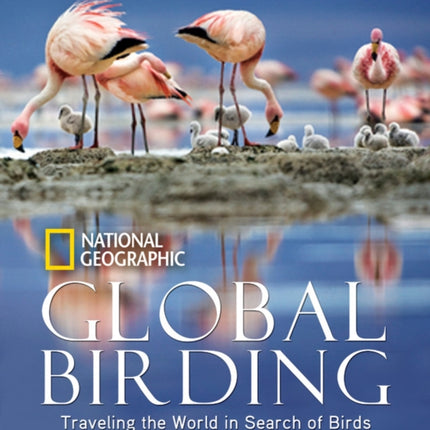 Global Birding: Traveling the World in Search of Birds