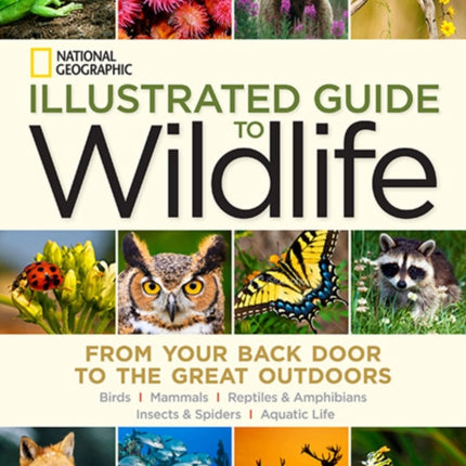 National Geographic Illustrated Guide to Wildlife: From Your Back Door to the Great Outdoors