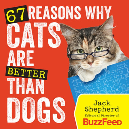 67 Reasons Why Cats Are Better Than Dogs