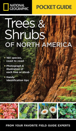 National Geographic Pocket Guide to Trees and Shrubs of North America