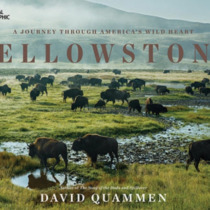 Yellowstone: A Journey Through America's Park