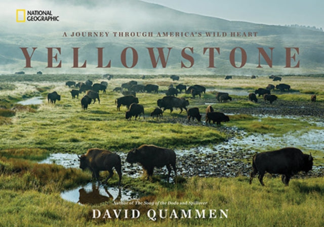 Yellowstone: A Journey Through America's Park