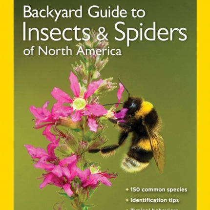 NG Guide to the Insects and Spiders of North America