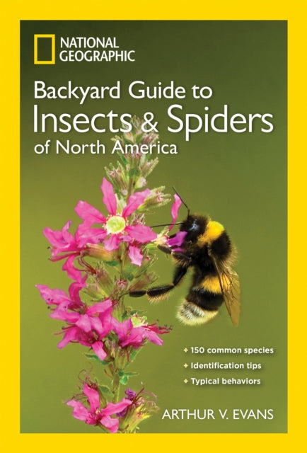 NG Guide to the Insects and Spiders of North America