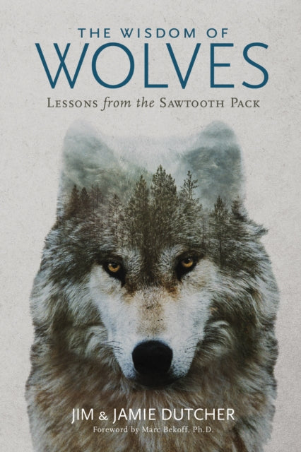 The Wisdom of Wolves: Lessons From the Sawtooth Pack