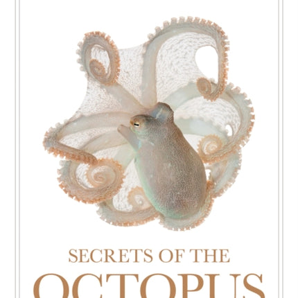 Secrets of the Octopus