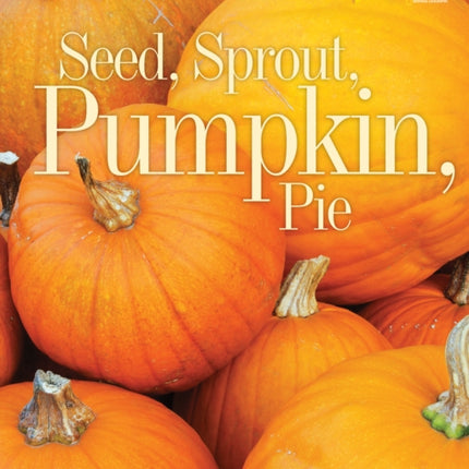 Seed Sprout Pumpkin Pie Picture the Seasons