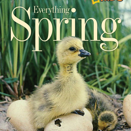 Everything Spring (Everything)