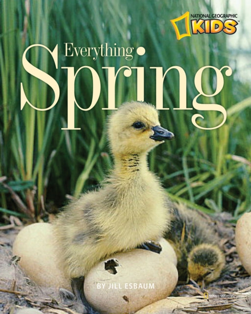 Everything Spring (Everything)