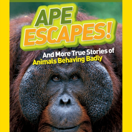 National Geographic Kids Chapters: Ape Escapes!: and More True Stories of Animals Behaving Badly (National Geographic Kids Chapters )