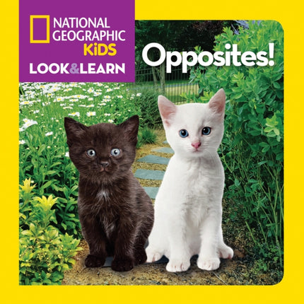 Look and Learn: Opposites! (Look&Learn)