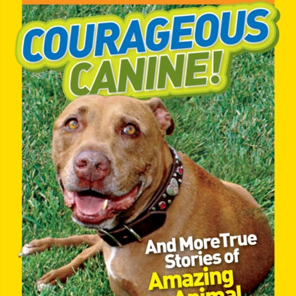 National Geographic Kids Chapters: Courageous Canine: And More True Stories of Amazing Animal Heroes (National Geographic Kids Chapters )