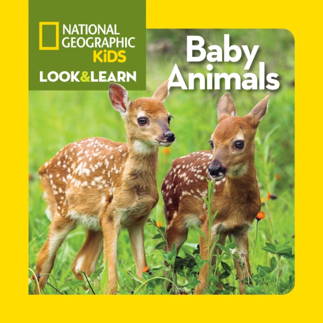 Look and Learn: Baby Animals  (Look&Learn)