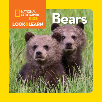 Look and Learn: Bears  (Look&Learn)