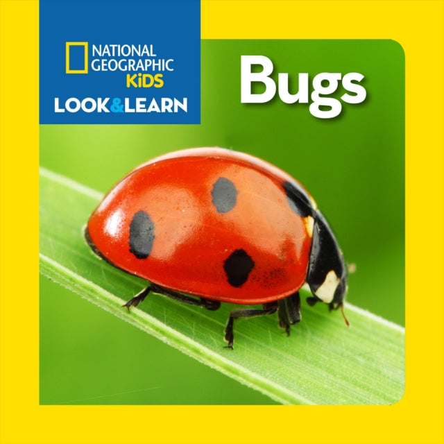 Look and Learn: Bugs (Look&Learn)