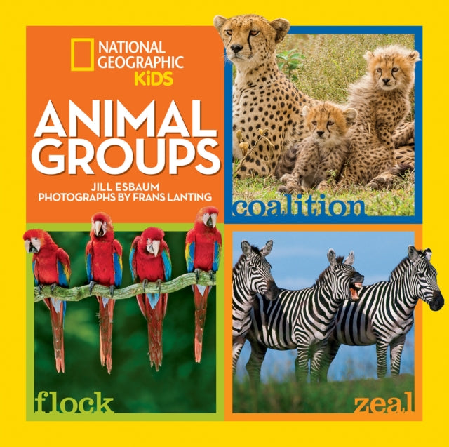 Animal Groups (Animals)