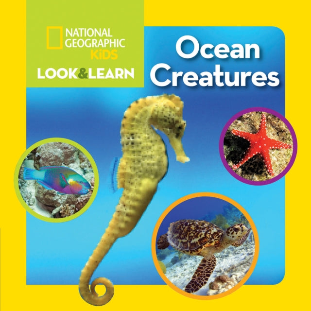 Look and Learn: Ocean Creatures  (Look&Learn)