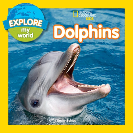 Dolphins Explore My World