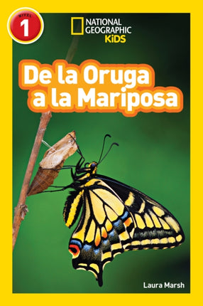 National Geographic Readers: De la Oruga a la Mariposa (Caterpillar to Butterfly)