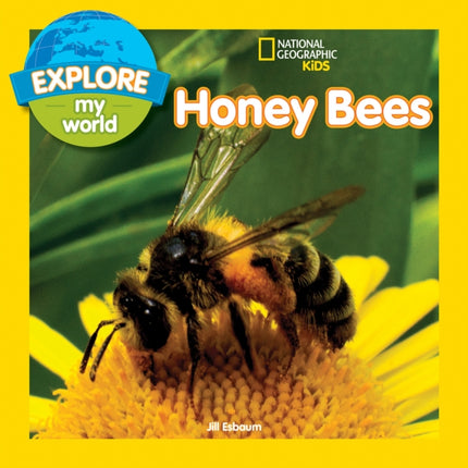 Explore My World: Honey Bees (Explore My World )