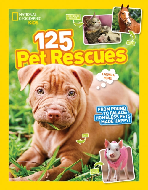 125 Pet Rescues: From Pound to Palace: Homeless Pets Made Happy (125)