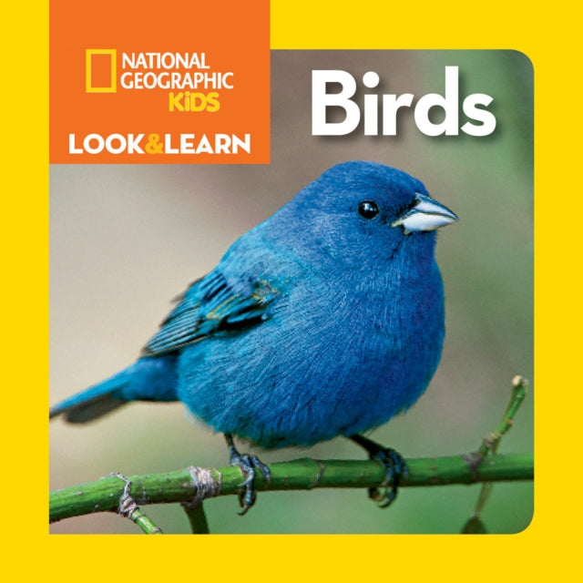 Look and Learn: Birds  (Look&Learn)