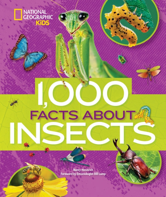 1000 Facts About Insects (100 Facts About…)