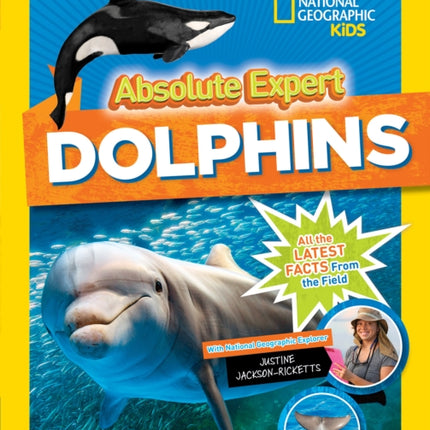 Absolute Expert Dolphins